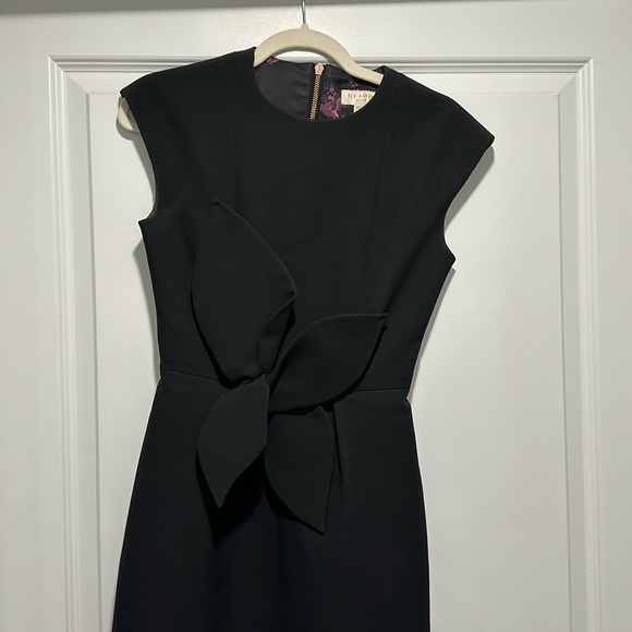 Ted Baker dress - Picture 3 of 12